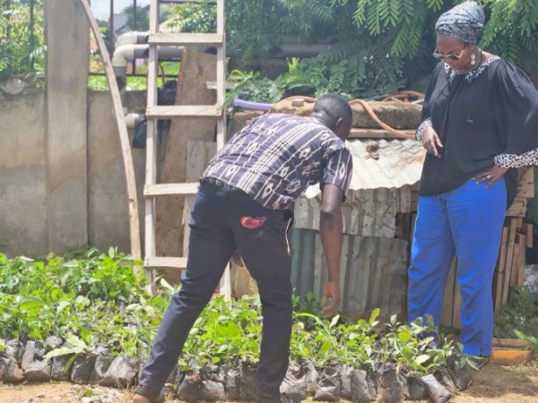 SWIDA Ghana Receives Seedlings for&nbsp;Vegetation